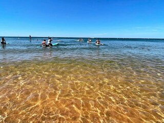 Parc de vacances Le Pouliguen Environnement 31