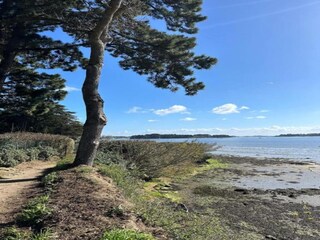 Vakantiepark Baden Omgeving 36