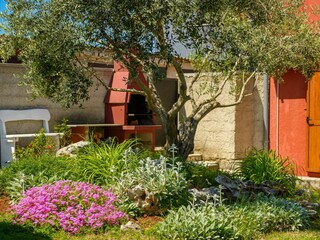 Casa per le vacanze Marčana Registrazione all'aperto 5