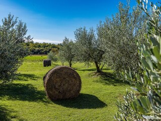 Villa Barban Environnement 36