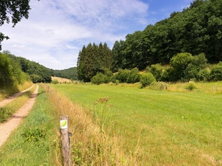Holiday house Waxweiler Environment 30