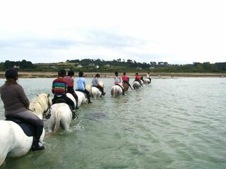 Maison de vacances Ploubazlanec Environnement 18