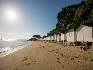 Parque de vacaciones Noirmoutier Entorno 17