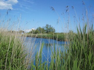 Parc de vacances Ghisonaccia  33