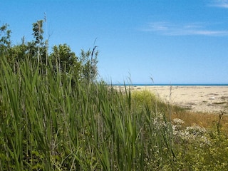 Parc de vacances Ghisonaccia  34