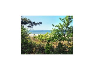 Apartamento Misdroy Entorno 25