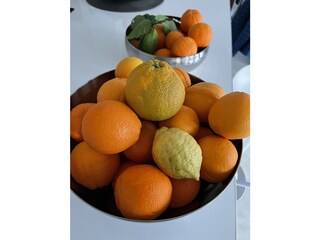 Appartamento per vacanze Diano San Pietro Registrazione all'aperto 12