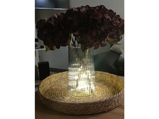 Casa per le vacanze Julianadorp Caratteristiche 17