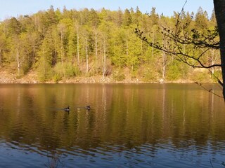 Holiday house Holmsjö  26