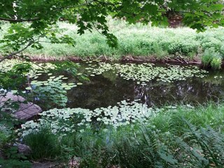 Holiday house Holmsjö  27