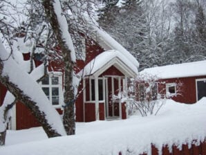 Ferienhaus Bollsjöbruk/Isaberg - Ambjörnarp - image1