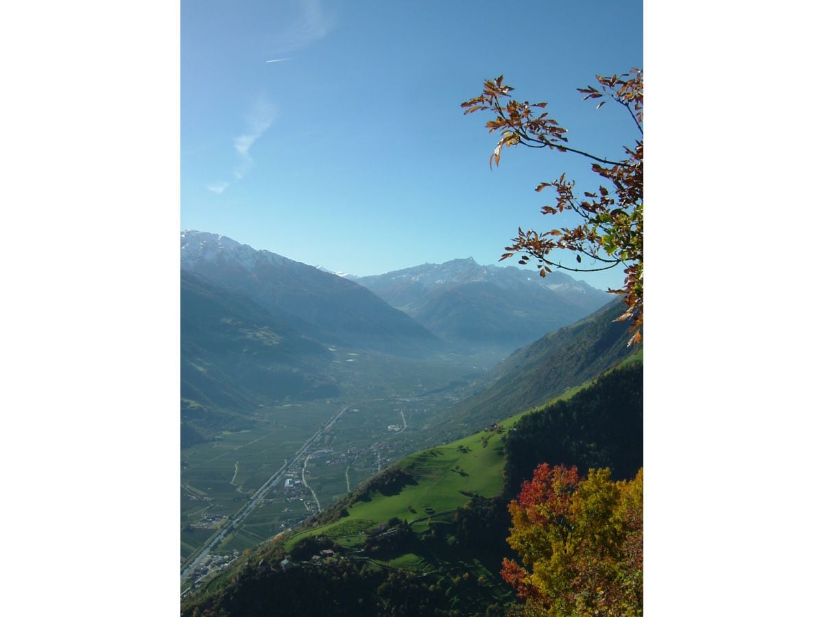 Blick Vinschgau - Orgelspitze