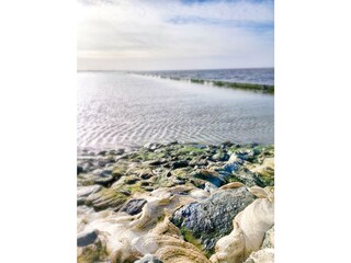Ferienwohnung Norddeich  17