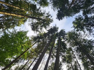 Ferienhaus Urshult  30