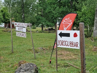 Holiday house Gulabo  49