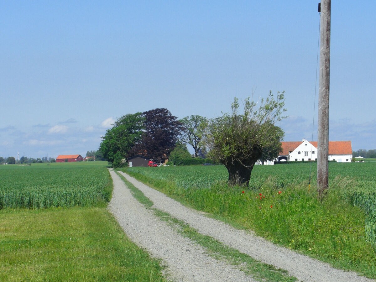 Ferienhaus Glemmingebro  15