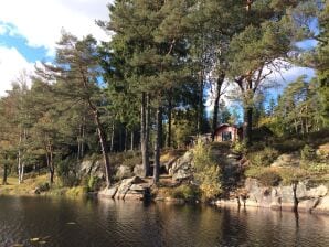 Holiday house Hällingsjö - Tostared - image1