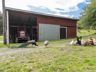 Ferienhaus Valdemarsvik  18