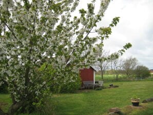 Ferienhaus Höghäll, Högsrum Öland - Borgholm - image1