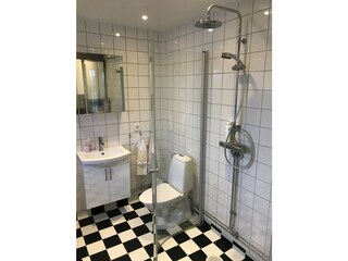 Ferienhaus Lekeryd  13