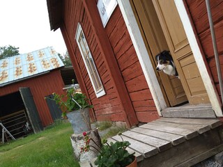 Holiday house Norrbotten  19