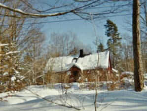 Ferienhaus Jantorp - Immeln - image1