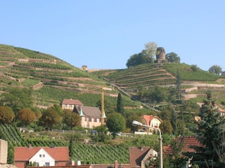 Radebeul Weinhänge