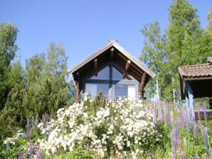 Holiday house Kättbosjön - Mora - image1