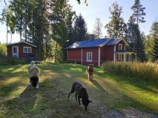 Ferienhaus Nora  7