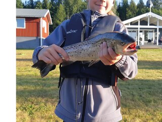 Ferienhaus Dalarna  37