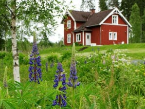 Holiday house Ljungafors Gård - Vaggeryd - image1