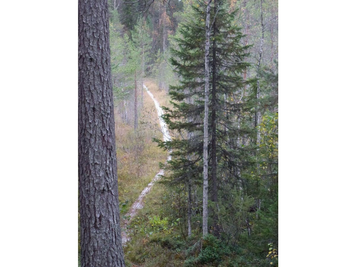 Ferienhaus Jämtland Außenaufnahme 4