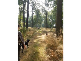 Ferienhaus Helsingborg  19