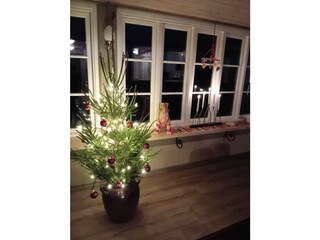 Ferienhaus Helsingborg  29