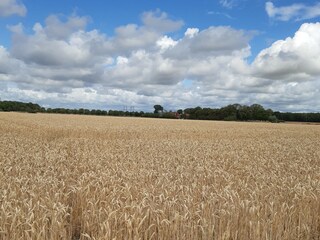Ferienhaus Helsingborg  33