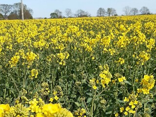 Ferienhaus Helsingborg  34