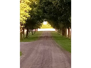 Ferienhaus Helsingborg  45