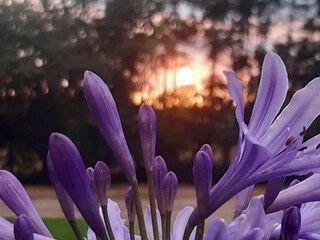 Ferienhaus Helsingborg  59