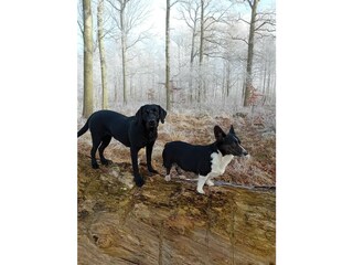 Ferienhaus Helsingborg  62