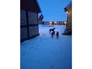 Ferienhaus Helsingborg  65