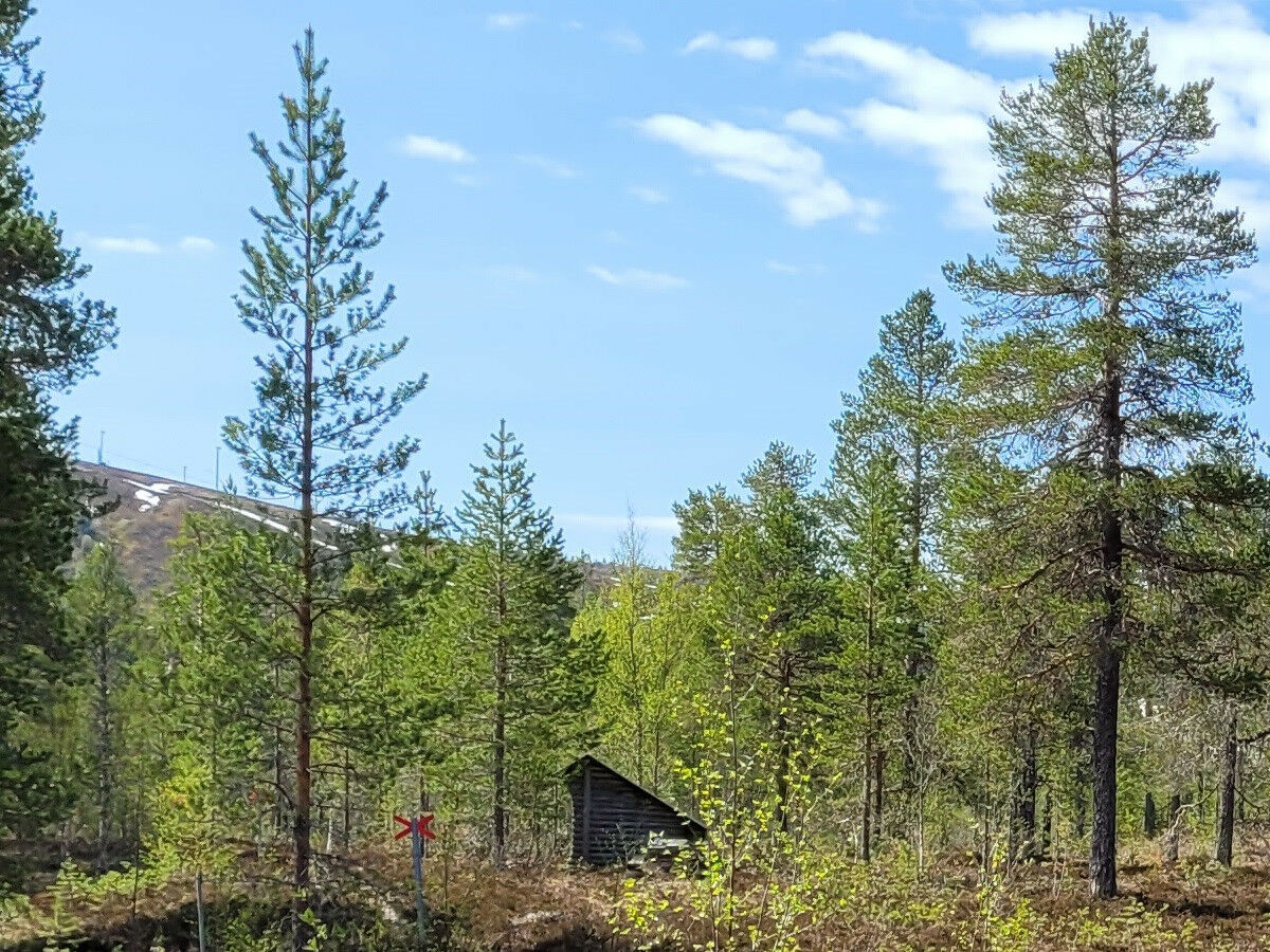 Ferienhaus Sälen  19