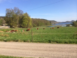 Holiday house Skällinge  17