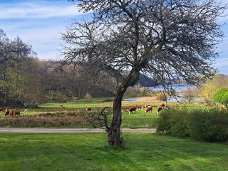 Holiday house Skällinge  19