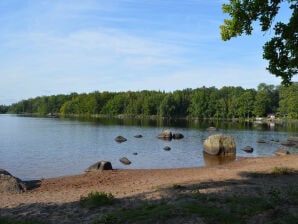 Ferienhaus Semesterhus Vissefjärda - Vissefjärda - image1