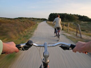 Enjoy a cycling tour