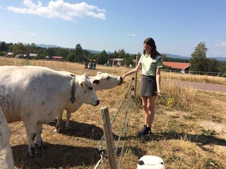 Ferienhaus Sollerön  14