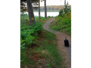 Holiday house Loftahammar  20