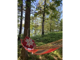 Ferienhaus Dalshult  20