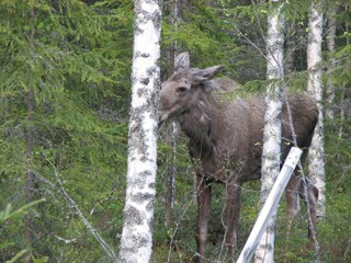 Holiday house Sysslebäck  20