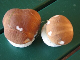 Holiday house Sysslebäck  21